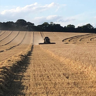 Agriculture